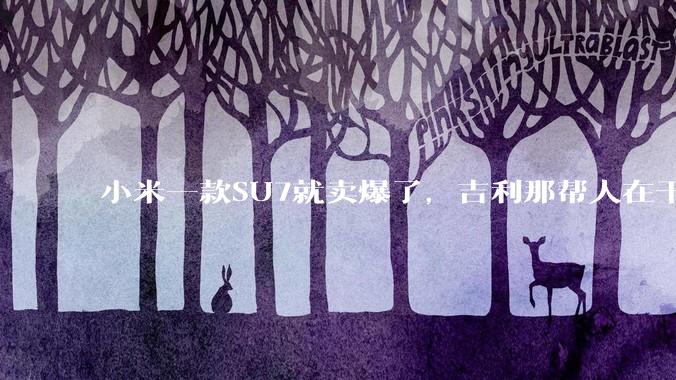 小米一款SU7就卖爆了，吉利那帮人在干啥事？