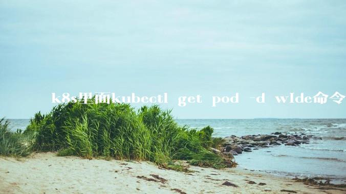 k8s里面kubectl get pod -d wide命令作用是什么？