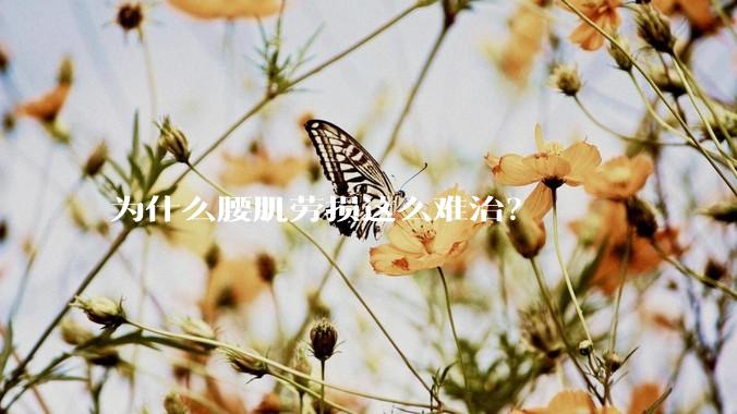 为什么腰肌劳损这么难治？