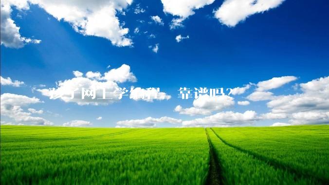 孩子网上学编程，靠谱吗？