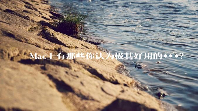 Mac上有那些你认为极其好用的***？